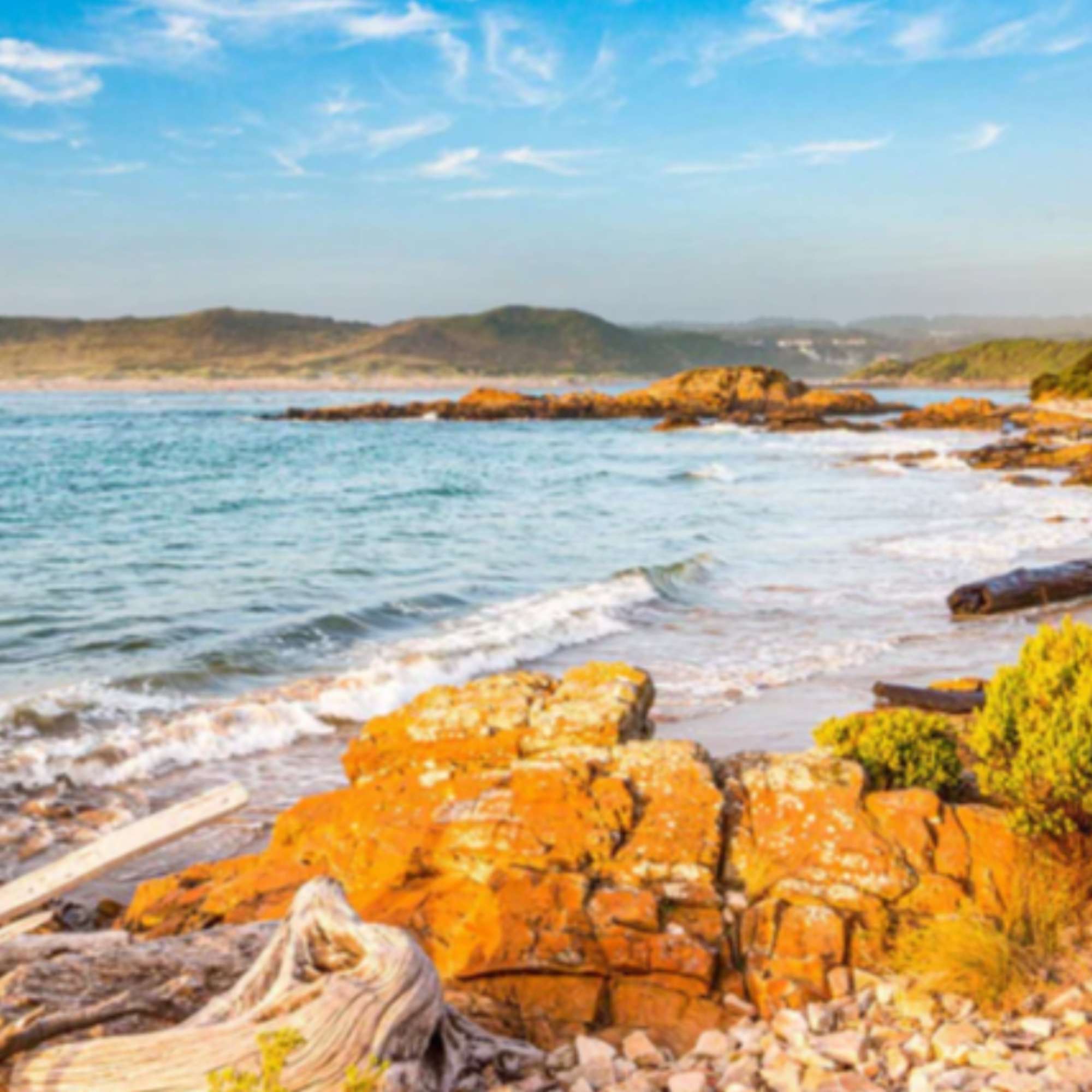Australian made Arthur River 1000 piece jigsaw puzzle. Food Safe and Eco Friendly.