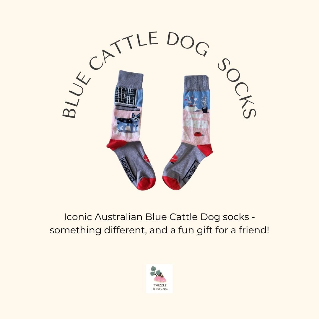True Blue Aussie Cattle Dog socks - with tennis ball, water bowl and old screen door
