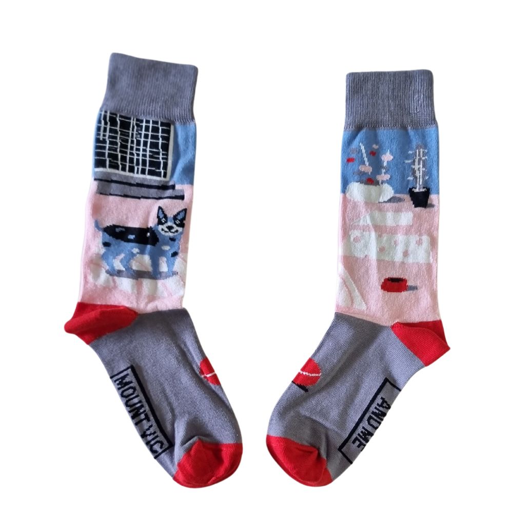 True Blue Aussie Cattle Dog socks - with tennis ball, water bowl and old screen door