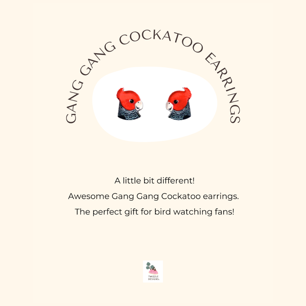 Gang Gang Cockatoo stud earrings made in Australia. Recycled and Upcycled wildlife earrings. Perfect for sensitive ears.