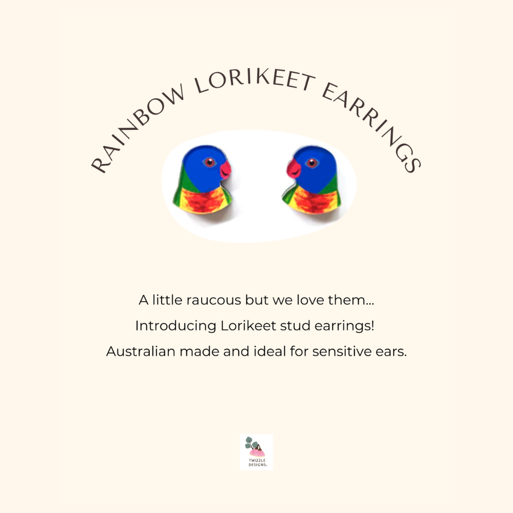 Rainbow Lorikeet stud earrings made in Australia. Recycled and Upcycled wildlife earrings. Perfect for sensitive ears.