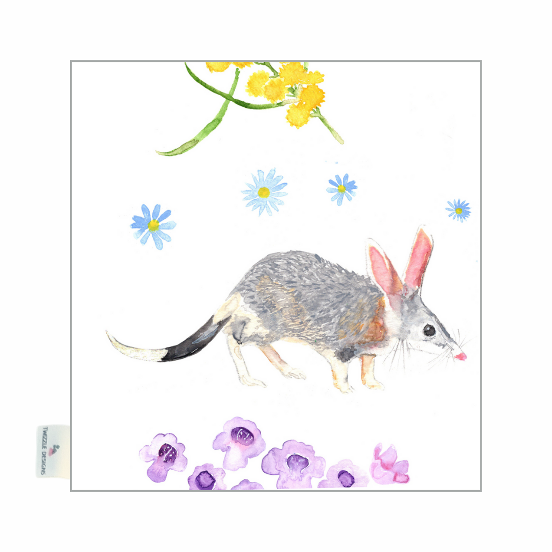 Tasmanian lavender drawer sachets. Bilby conservation. Bilby Lavender sachets make a perfect small gift.