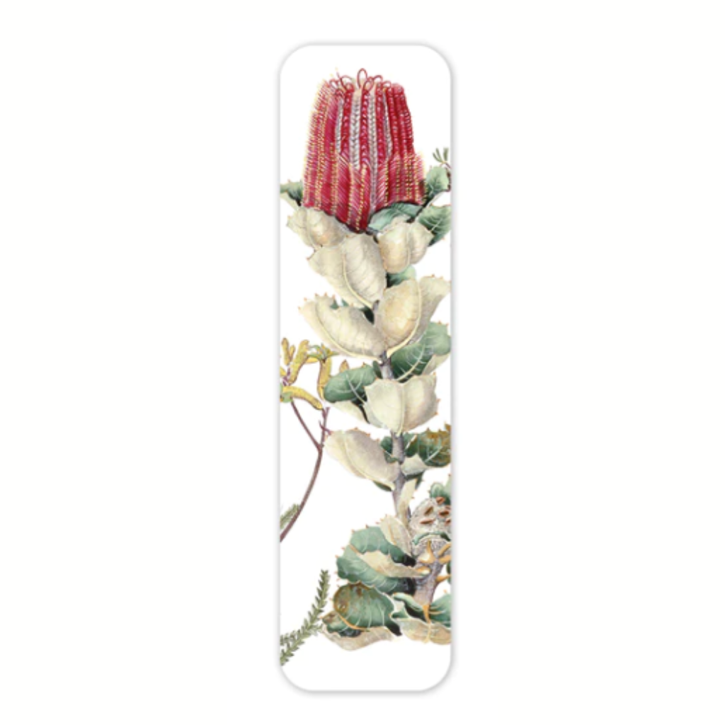 Studio Nikulinsky Bookmarks feature Australian Wild flowers. A delightful add on small gift. Unique and beautiful bookmarks.
