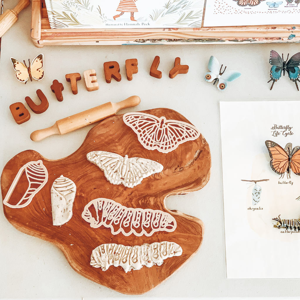 Butterfly Life Cycle Eco Large Cutter set to discover the Arctic animals. Australian made, all natural Eco Cutters which are biodegradable. Spark your child’s imagination with nature toys from Kinfolk Pantry.
