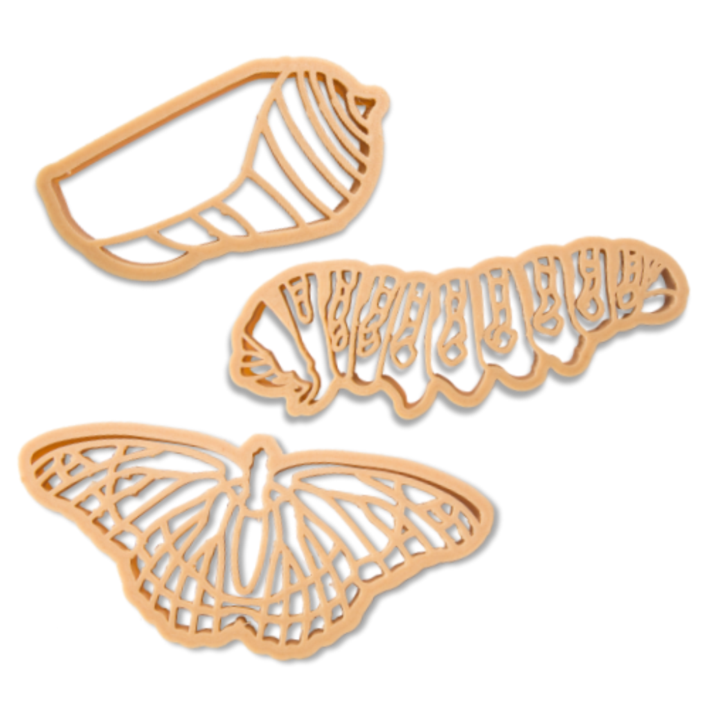 Butterfly Life Cycle Eco Large Cutter set to discover the Arctic animals. Australian made, all natural Eco Cutters which are biodegradable. Learning and fun from Kinfolk Pantry.
