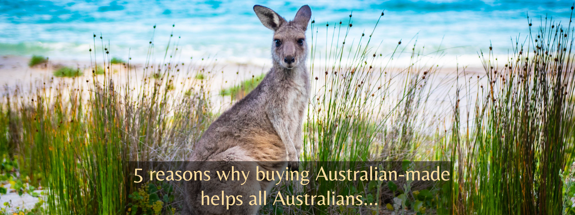 5 Important reasons to buy Australian made - how many do you know?