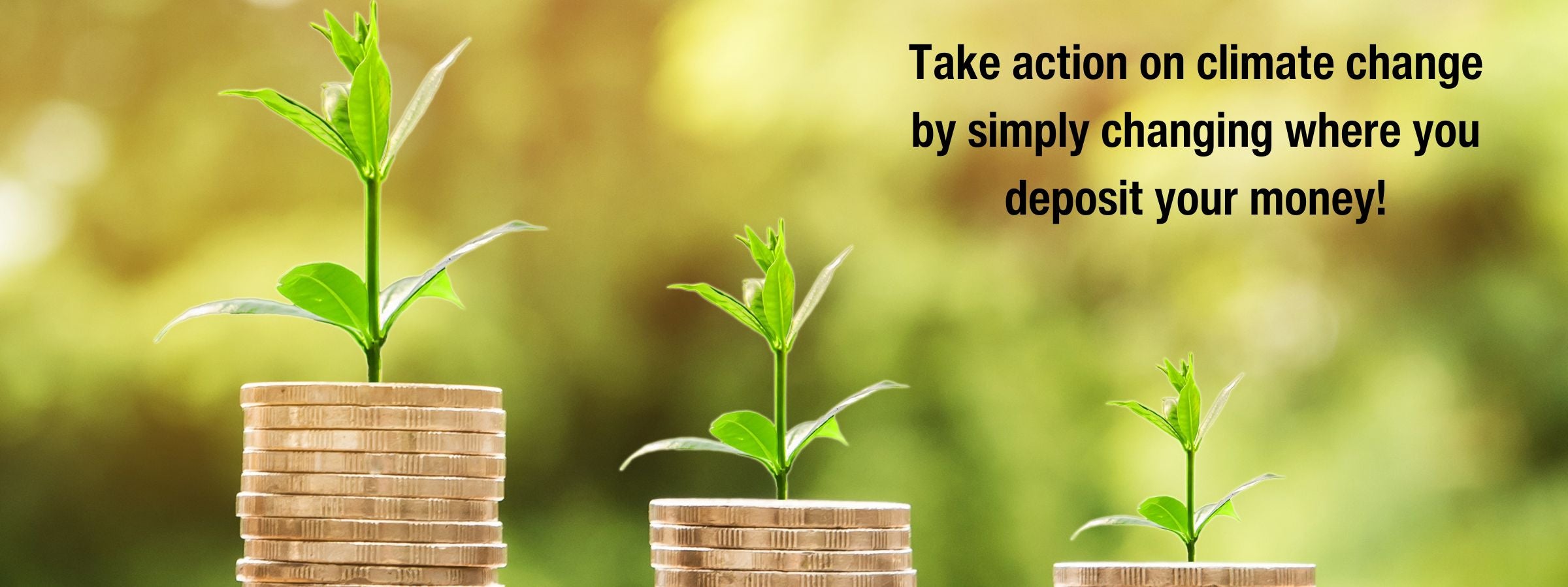 How-to-find-a-green-and-eco-friendly-bank