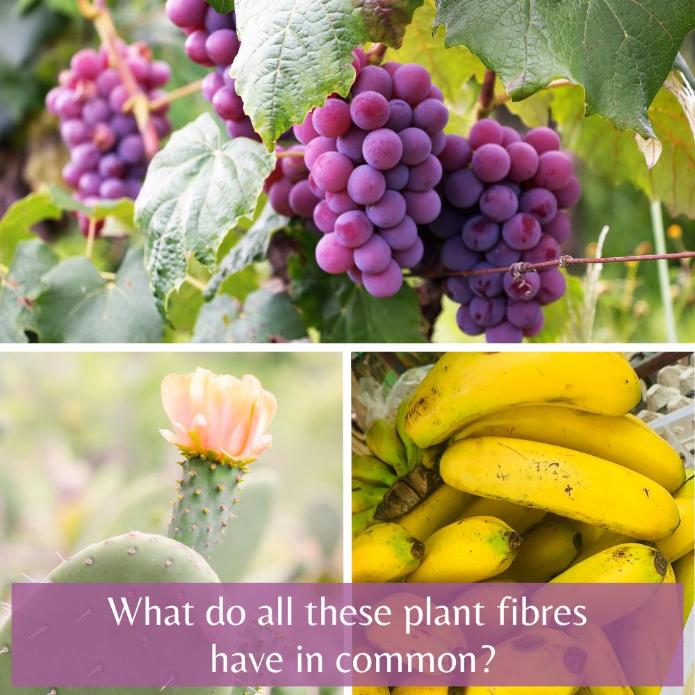 Fabulous fabrics made from some very surprising natural fibres! from The Twizzle Designs Earth Friendly blog