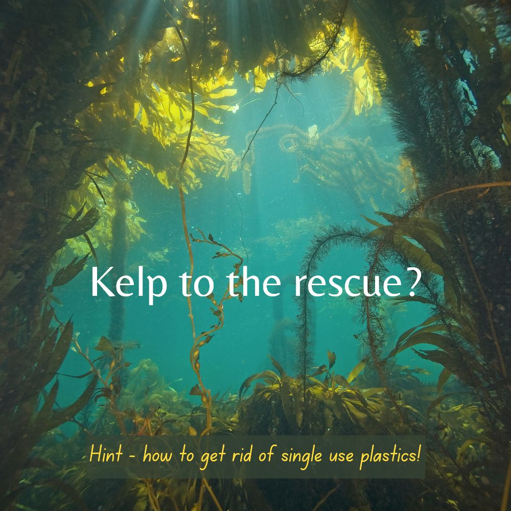 Help the environment to remove plastic pollution from our oceans. Zero waste future. Kelp bio plastic is all natural and home compostable.