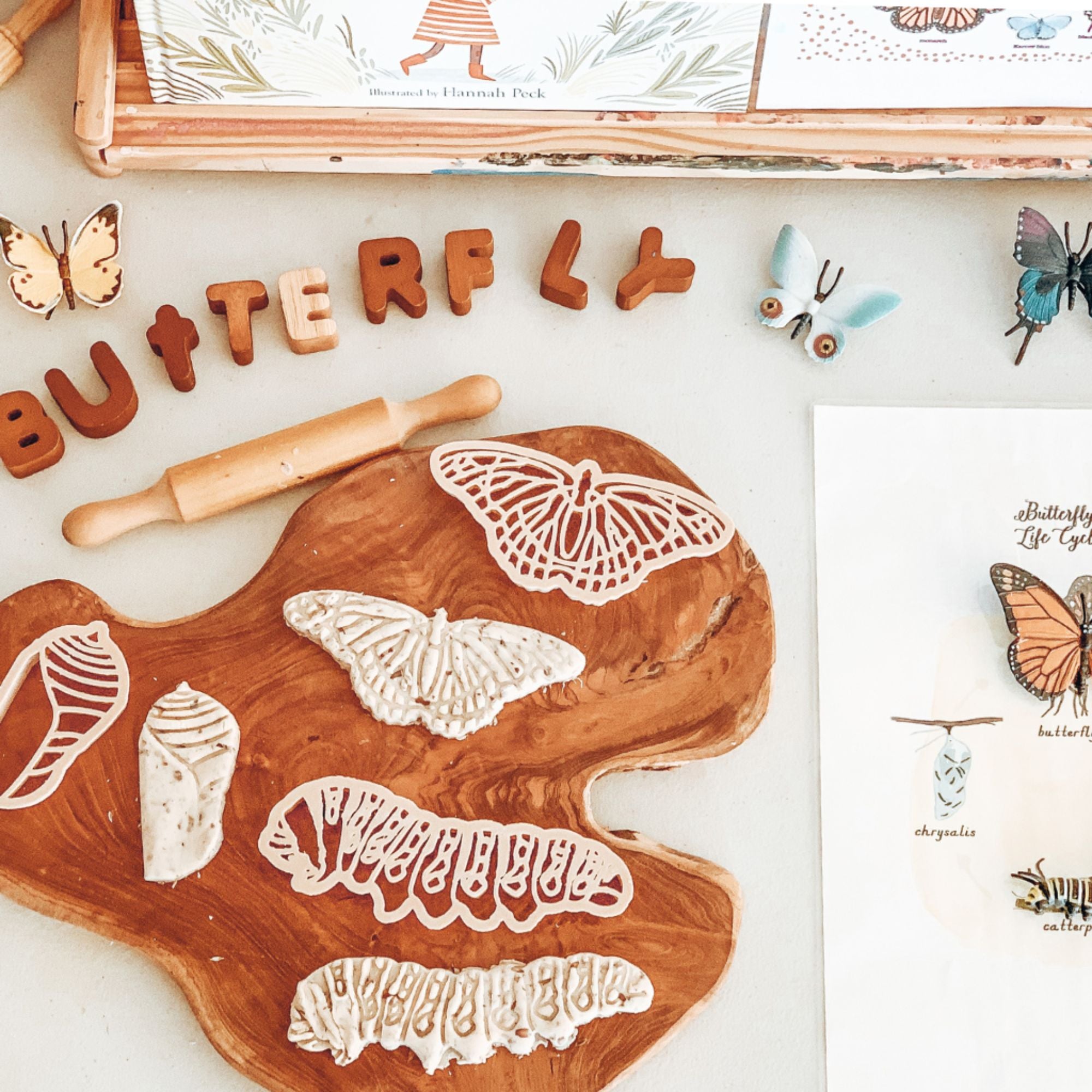 Australian made nature toys for kids. Help children xplore through play.