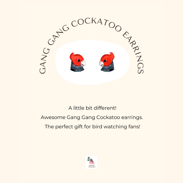 Gang Gang Cockatoo stud earrings made in Australia. Recycled and Upcycled wildlife earrings. Perfect for sensitive  ears. 