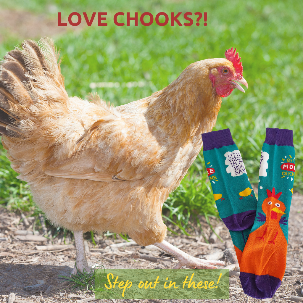 All Australian I love chickens socks - designed and made in Australia. Cotton rich socks with attitude! More chickens please socks.
