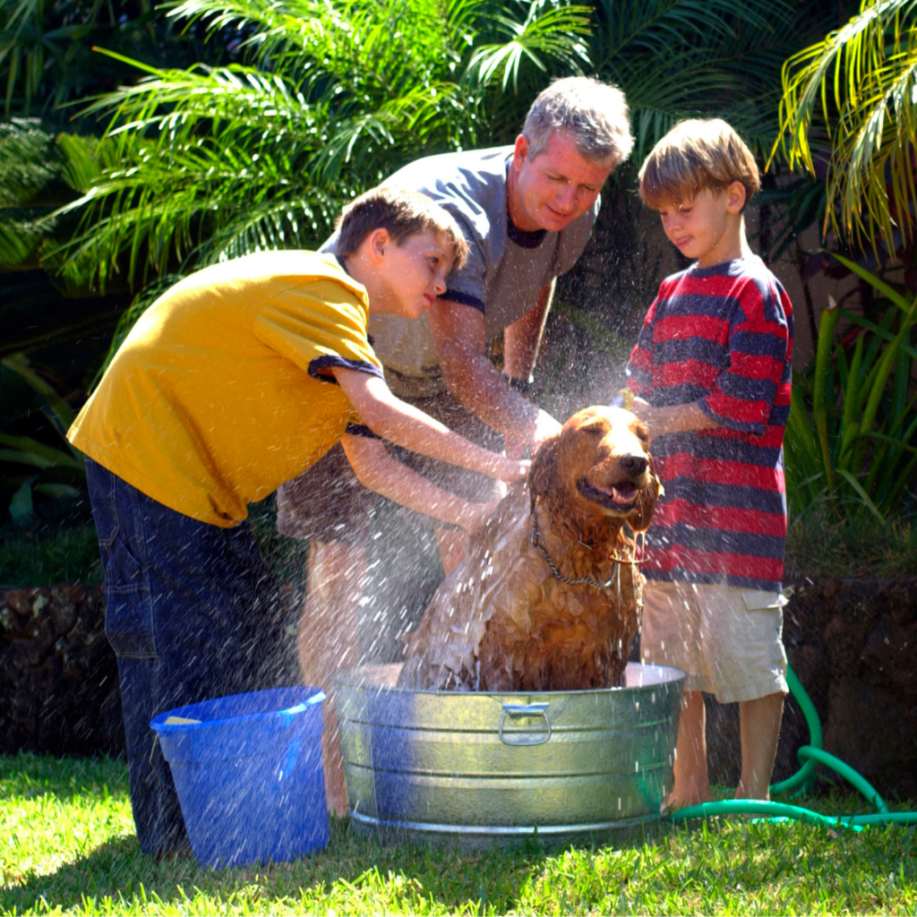 Make dog washing easy. Give them clean and soft fur. Tasmanian made Natural Linii dog bar soap repels fleas.