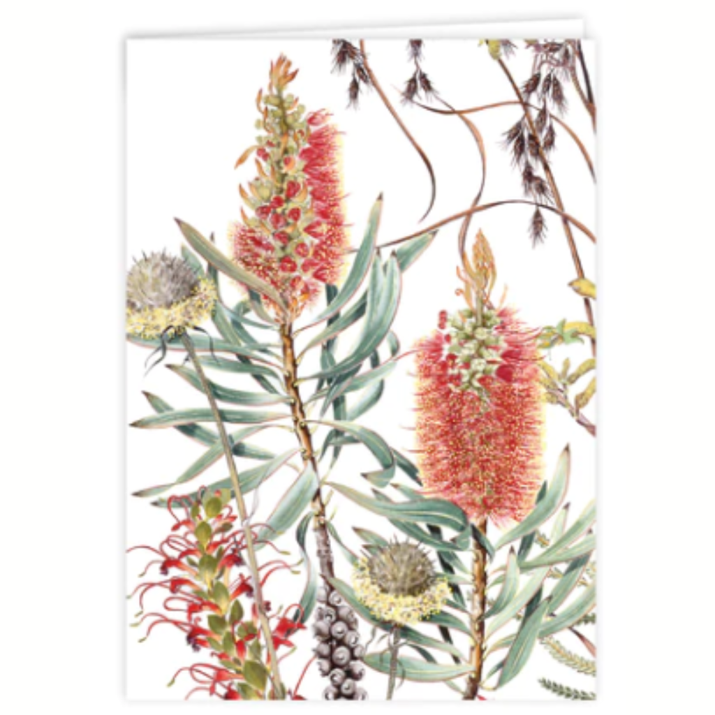 Studio Nikulinsky Native floral designs A6 greeting cards with an envelope. Eco-friendly. Designed and made in Western Australia. Add a Australian greeting card to your gift. Bottlebrush design.