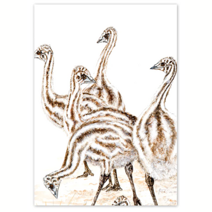 Studio Nikulinsky Native floral designs A6 greeting cards with an envelope. Eco-friendly. Designed and made in Western Australia. Add a Australian greeting card to your gift. Baby emus design.