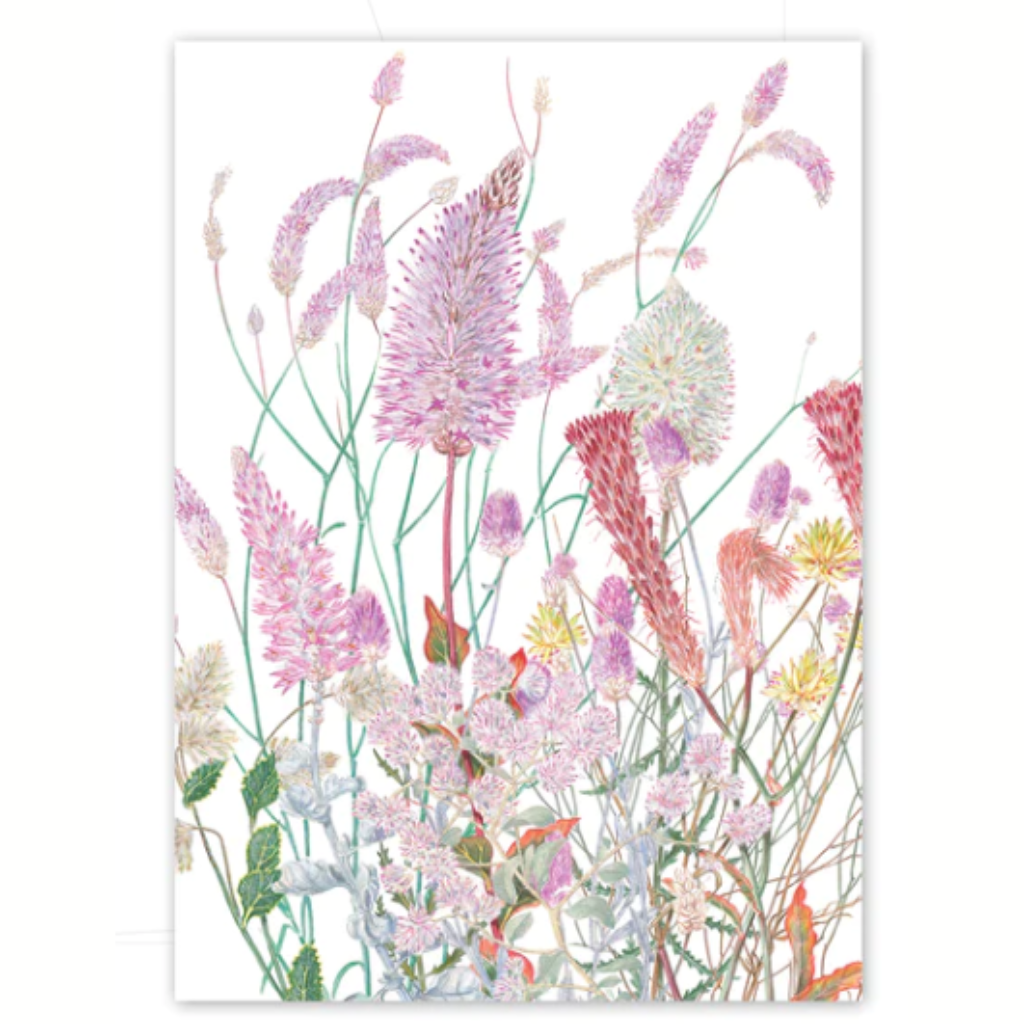 Studio Nikulinsky Native floral designs A6 greeting cards with an envelope. Eco-friendly.  Designed and made in Western Australia. Add a Australian greeting card to your gift. Mulla Mulla design.