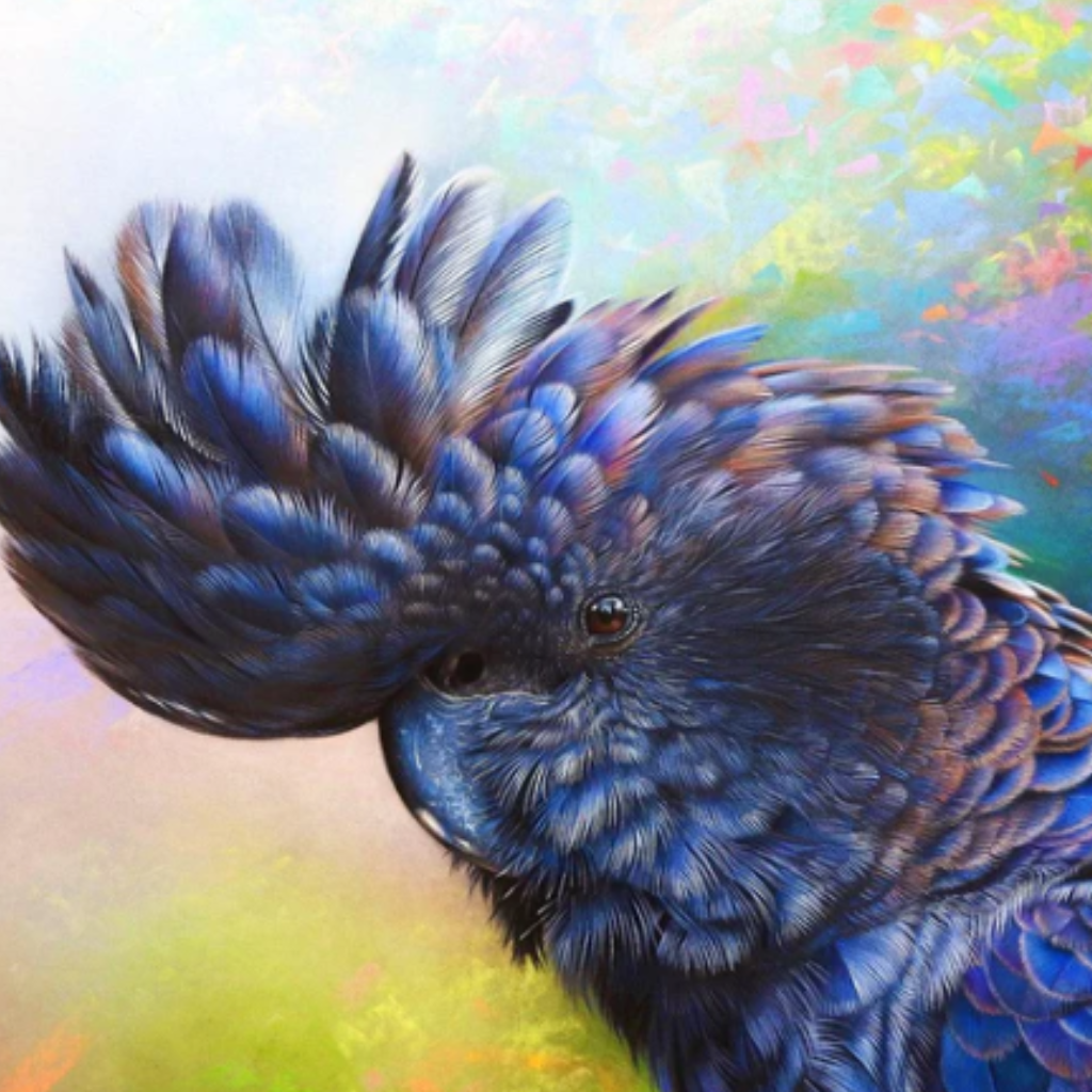 Stunning black cockatoo puzzle with rainbow background. Australian made eco friendly jigsaw puzzles make the best gifts for you hip and groovy friendss. QPuzzles are jigsaw puzzles for all ages.  1000 piece jigsaw puzzle.