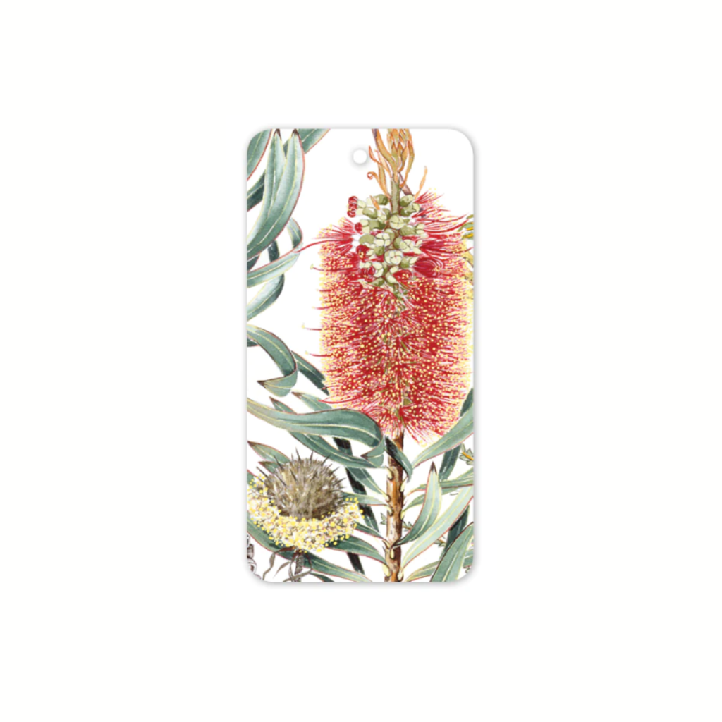 Studio Nikulinsky Native floral gift tags. Red banksia gift tags in 4 pack. Designed and made in Western Australia. Add a gift tag to your gift.