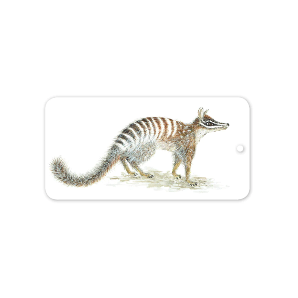 Studio Nikulinsky Native numbat design gift tags. Australian numbat gift tags in 4 pack. Designed and made in Western Australia. Add a gift tag to your gift.