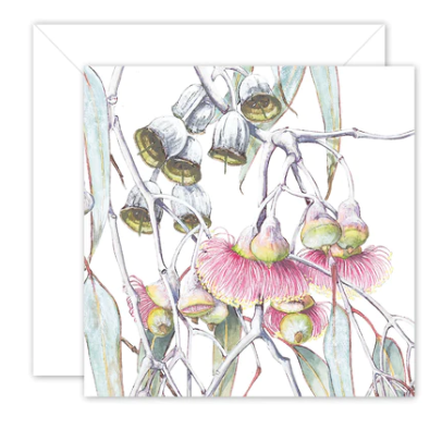 Studio Nikulinsky Native floral designs small square greeting cards with an envelope. Eco-friendly. Designed and made in Western Australia. Add a Australian greeting card to your gift. Silver Princess design.