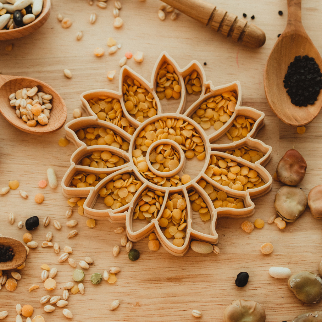 Using the Sunflower Large Eco Cutter to discover the plant world. Australian made, all natural Eco Cutters which are biodegradable., from Kinfolk Pantry.