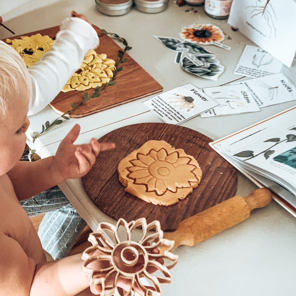 Young child using the Sunflower Large Eco Cutter to discover the plant world. Australian made, all natural Eco Cutters which are biodegradable. Spark your child’s imagination with nature toys, from Kinfolk Pantry.