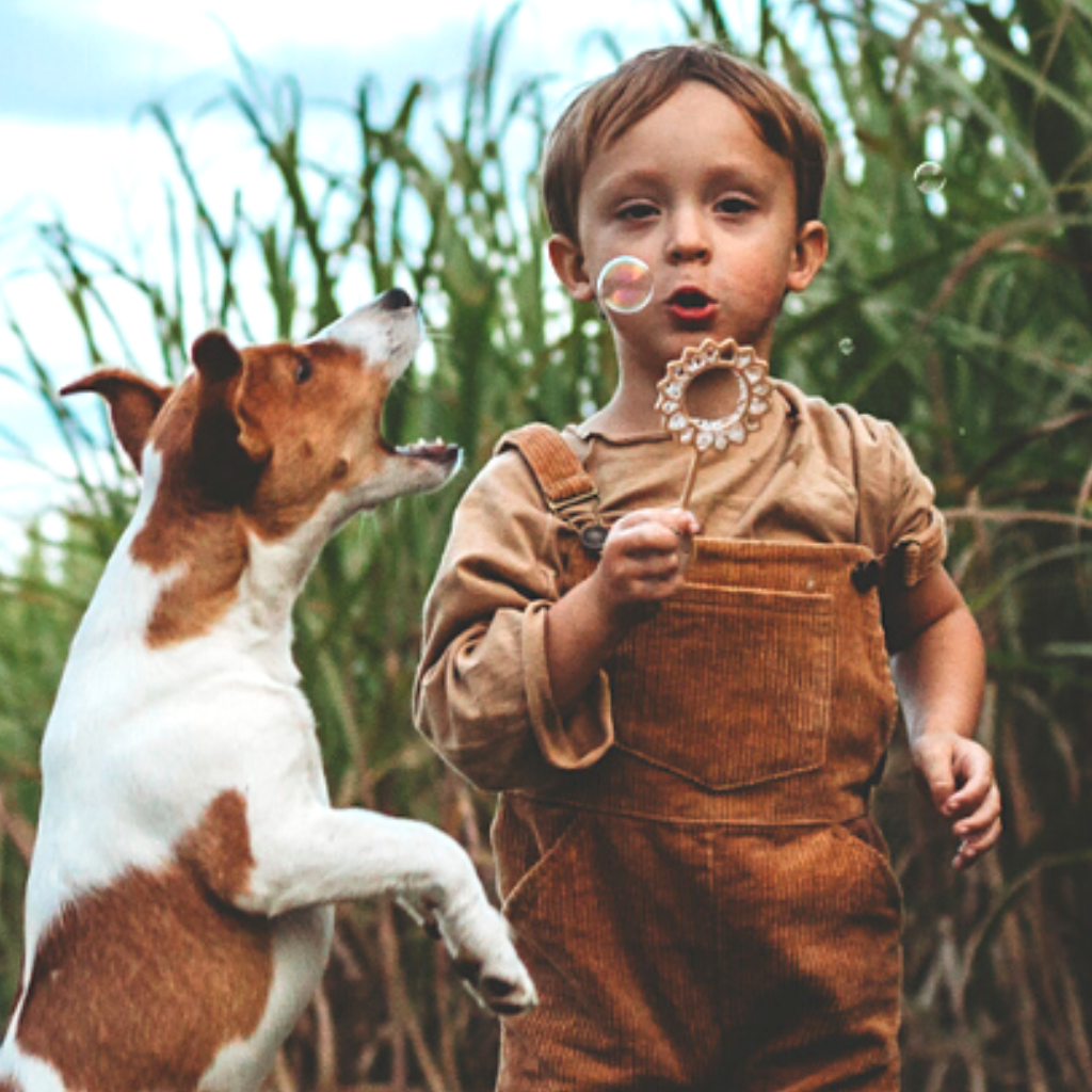 Young child with Sunflower shaped bubble wand blowing bubbles. Australian made, all natural bubble wand which is biodegradable. From Kinfolk Pantry.