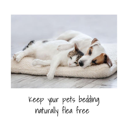 Stop animal odours and repel fleas for your cat and dog with Tasmanian Huon Pine spray. All natural spray to repel fleas and mites. Keep your pet bedding naturally flea free with Linii Fine Mist spray. 